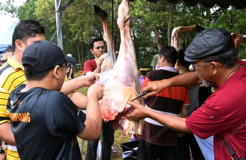 NS03_11082019_KORBAN_BN201908087535