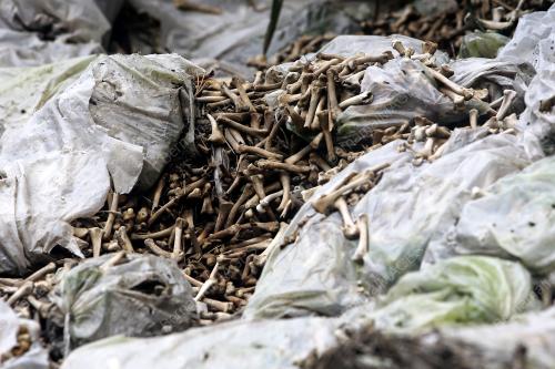 PENCEMARAN KESAN SISA BUANGAN