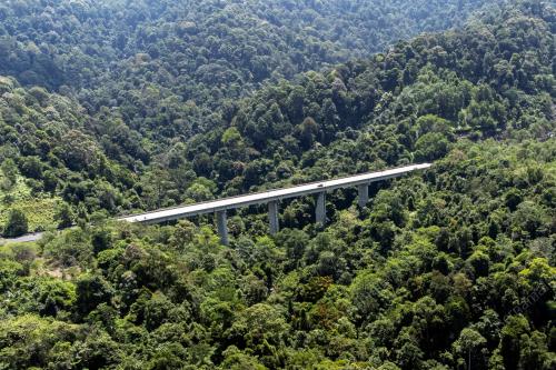 HUTAN HUJAN DI KUALA PILAH