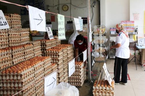 TELUR AYAM