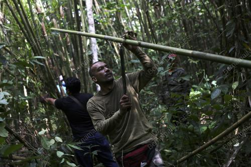 BULUH LEMANG KAMPUNG NYATOH