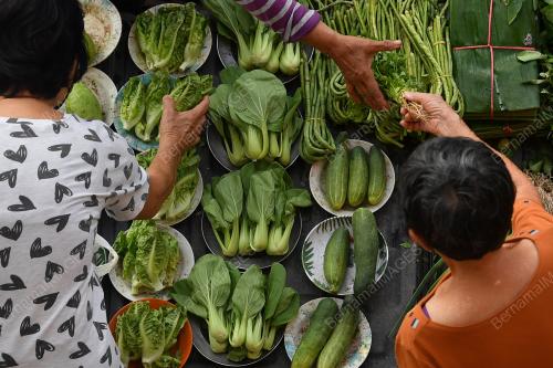BEKALAN SAYUR