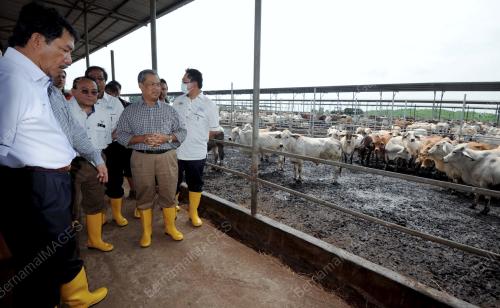 TAN SRI MUHYIDDIN YASSIN