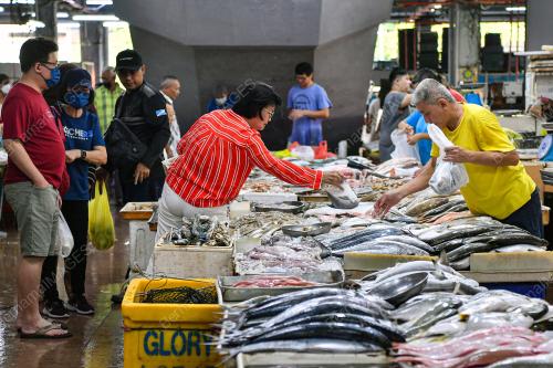 BEKALAN IKAN MUSIM MONSUN TIMUR LAUT