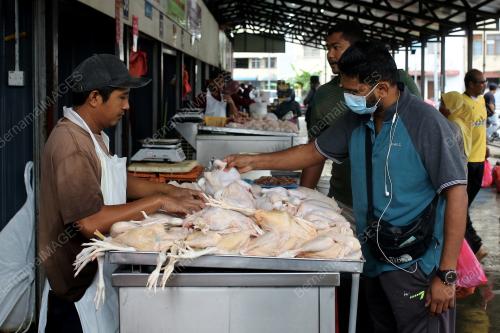 BEKALAN_AYAM