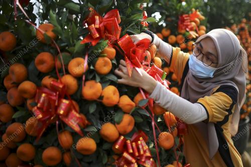 JUALAN POKOK LIMAU SEMPENA PERAYAAN TAHUN BARU CINA