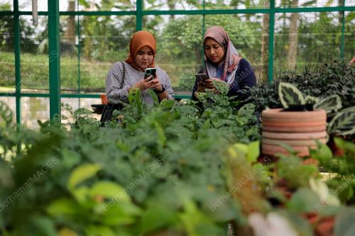 TAMAN ORKID SEREMBAN