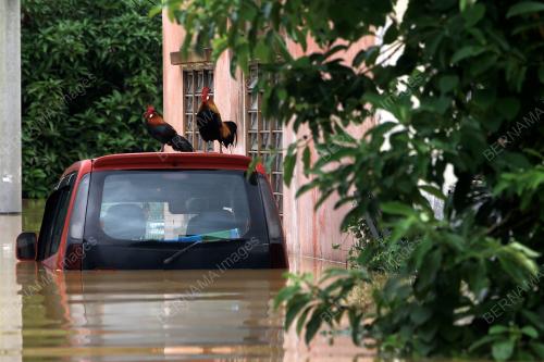 BENCANA BANJIR DI FELDA SUNGAI KELAMAH