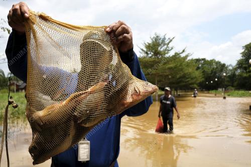 BANJIR KILAT DI RANTAU