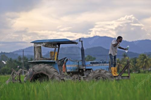 PESAWAH