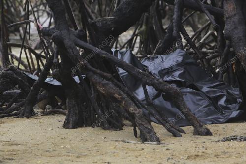 MAYAT LEMAS DITEMUI DICELAH POKOK BAKAU PANTAI BALAK