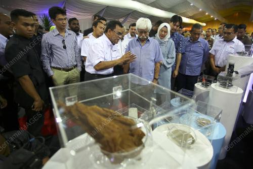 TUANKU MUHRIZ TUANKU MUNAWIR