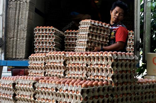 BEKALAN TELUR AYAM DI SEREMBAN