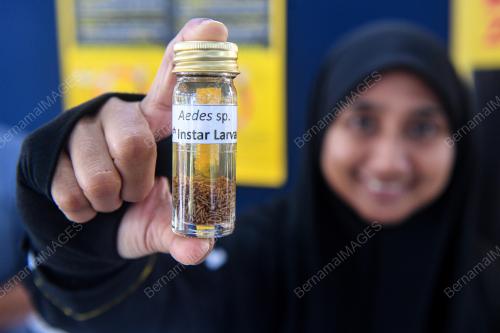 WOLBACHIA MALAYSIA