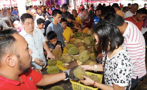 NS04_06082016_FESTIVAL_BUAH