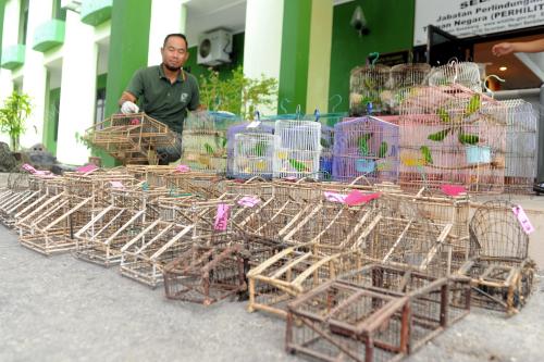 NS04_07052015_PERHILITAN_BURUNG