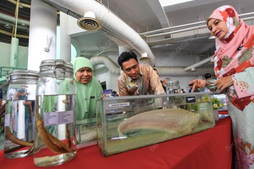 DR AZHAR HAMZAH