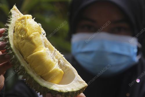 NORIZAWATI NAZARUDDIN