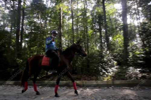 SAMBUTAN HARI HUTAN ANTARABANGSA PERINGKAT NEGERI SEMBILAN