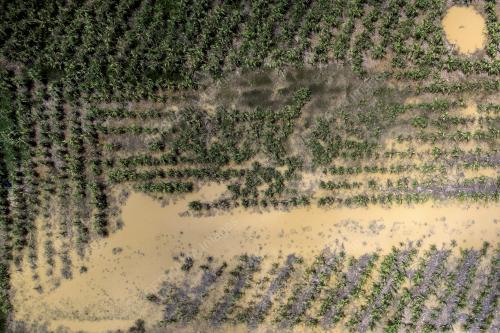PASCA BANJIR DI SIMPANG DURIAN JELEBU