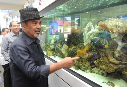 NS04_09072015_IKAN_HIASAN