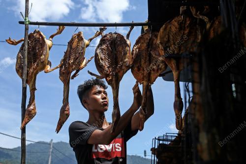 AKTIVITI MANTAI DI NEGERI SEMBILAN