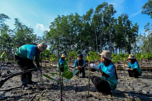 MY BRIGHTER GREEN INITIATIVE TNB