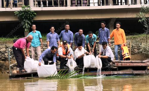 NS04_09082019_BENIH_UDANG