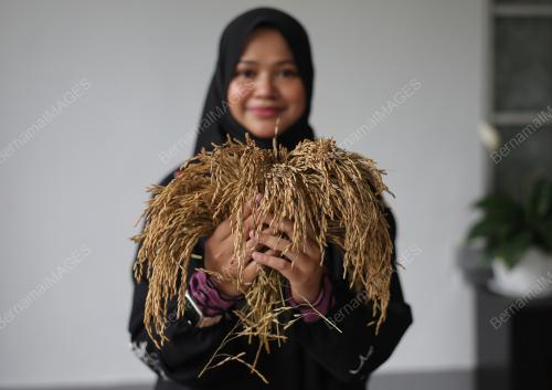 SITI AAI SHAH RAHMAN SHAH