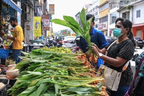 PERSIAPAN PERAYAAN PONGGAL