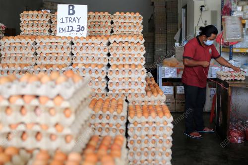 TELUR AYAM