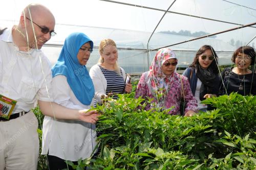 NS04_15032017_DELEGASI_ASEMME