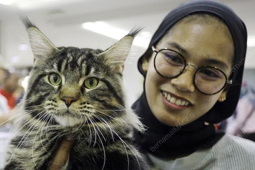NS04_17112019_VETERINAR_BN201911157887