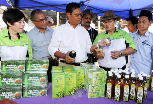 NS04_18082015_SHABERY_HERBA