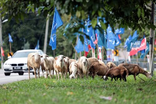 HATI-HATI PULANG MENGUDI PRU-15