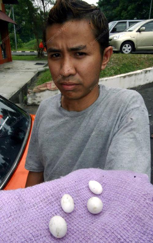 SAIFUL BAHARI HANAFI