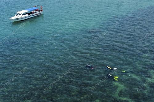 AKTIVITI SELAM SKUBA DAN SNORKELING DI PORT DICKSON