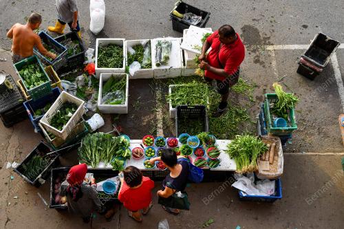 BEKALAN SAYUR