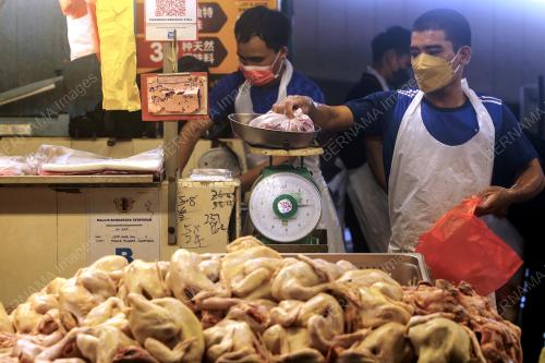 BEKALAN AYAM DI SEREMBAN