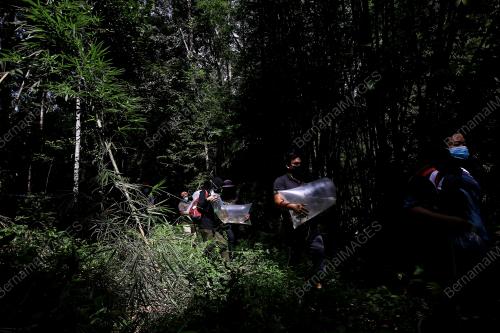 PELEPASAN BENIH IKAN DI SUNGAI KENABOI
