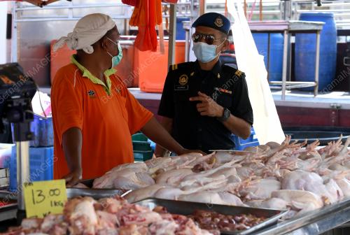 HARGA AYAM