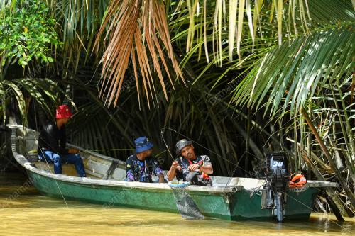 SOPIT BIRU SUNGAI TIMUN
