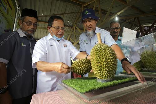 DATUK SERI AHMAD HAMZAH