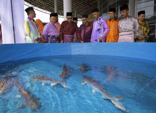 NS04_27062019_PATIN_JELEBU_BN201906243039