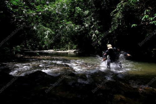 PERHUTANAN HUTAN SIMPAN
