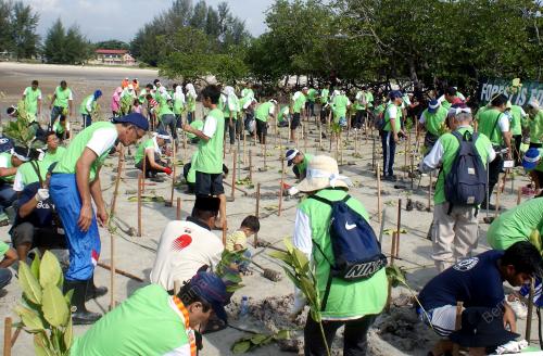 POKOK BAKAU