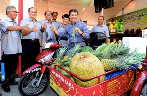 NS04_28022014_HARI_PELADANG