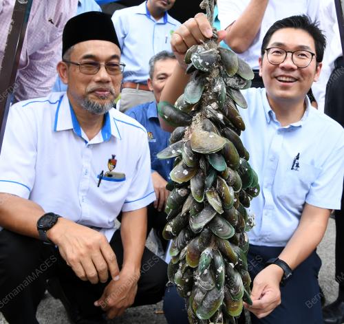 NS04_28022019_KUPANG_BN201902251599