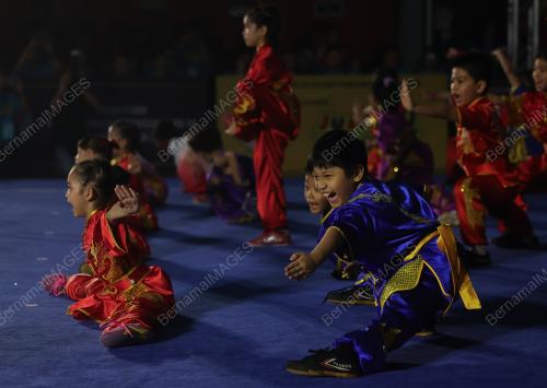 MAJLIS PERASMIAN KEJOHANAN WUSHU