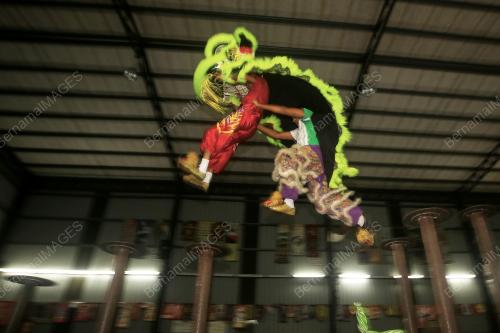 TARIAN SINGA PERSATUAN KESENIAN GUI QING NEGERI SEMBILAN